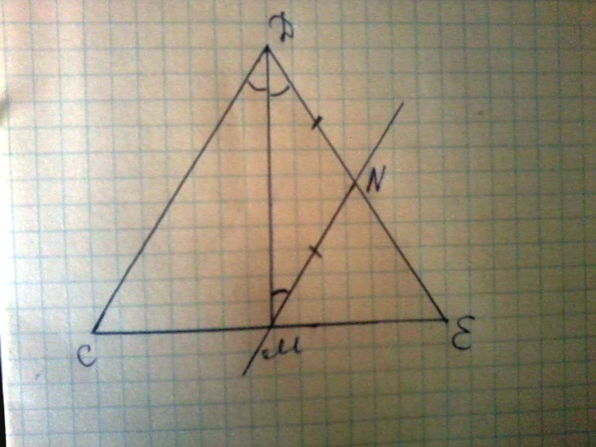 Угол n треугольника. Отрезок DM биссектриса CDE. Отрезок DM биссектриса треугольника CDE. Через. Отрезок DM. Отрезок DM биссектриса треугольника.